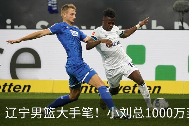 辽宁男篮大手笔！小刘总1000万买断段睿骐，4年B类合同，赵继伟接班人！